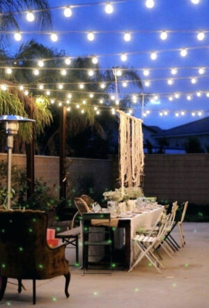 Festoon Lights  - White