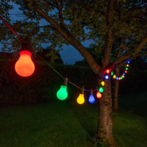 multicolour festoon lights hanging from tree