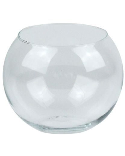 Fish Bowl / Centrepiece